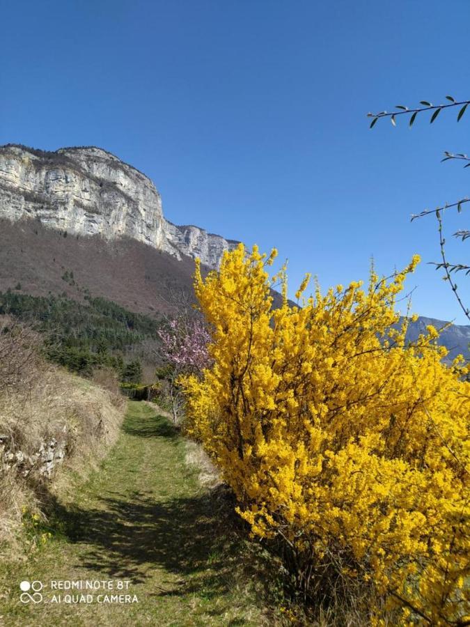 Studio Au Pied De La Montagne Et Vue Imprenable Saint-Alban  ภายนอก รูปภาพ