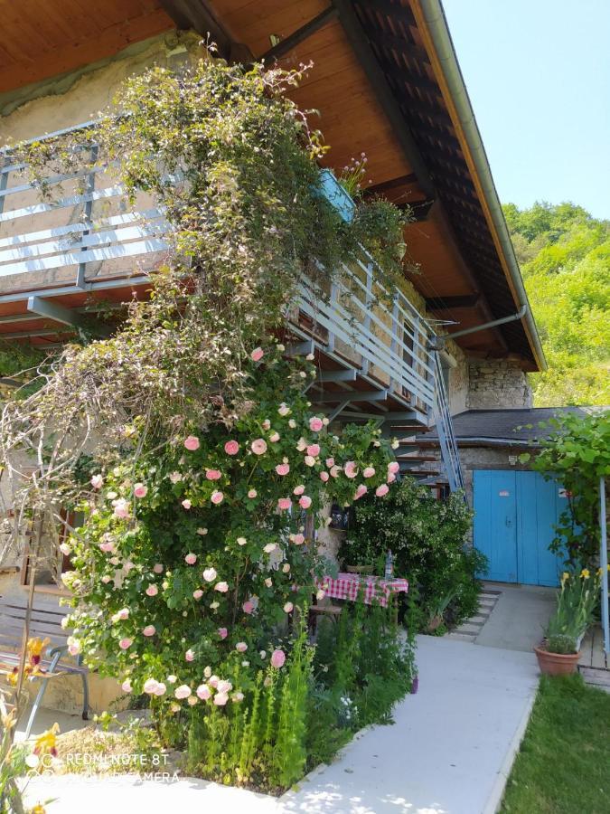 Studio Au Pied De La Montagne Et Vue Imprenable Saint-Alban  ภายนอก รูปภาพ
