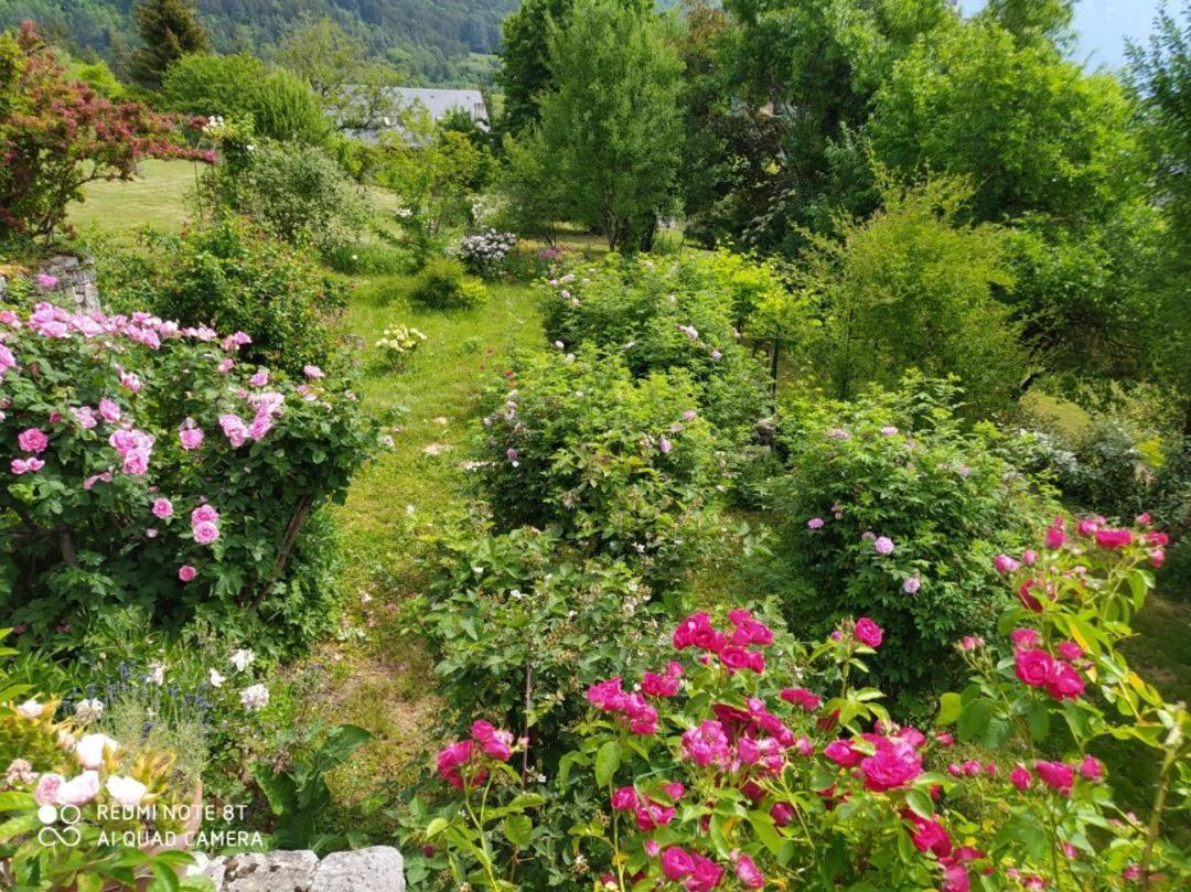 Studio Au Pied De La Montagne Et Vue Imprenable Saint-Alban  ภายนอก รูปภาพ