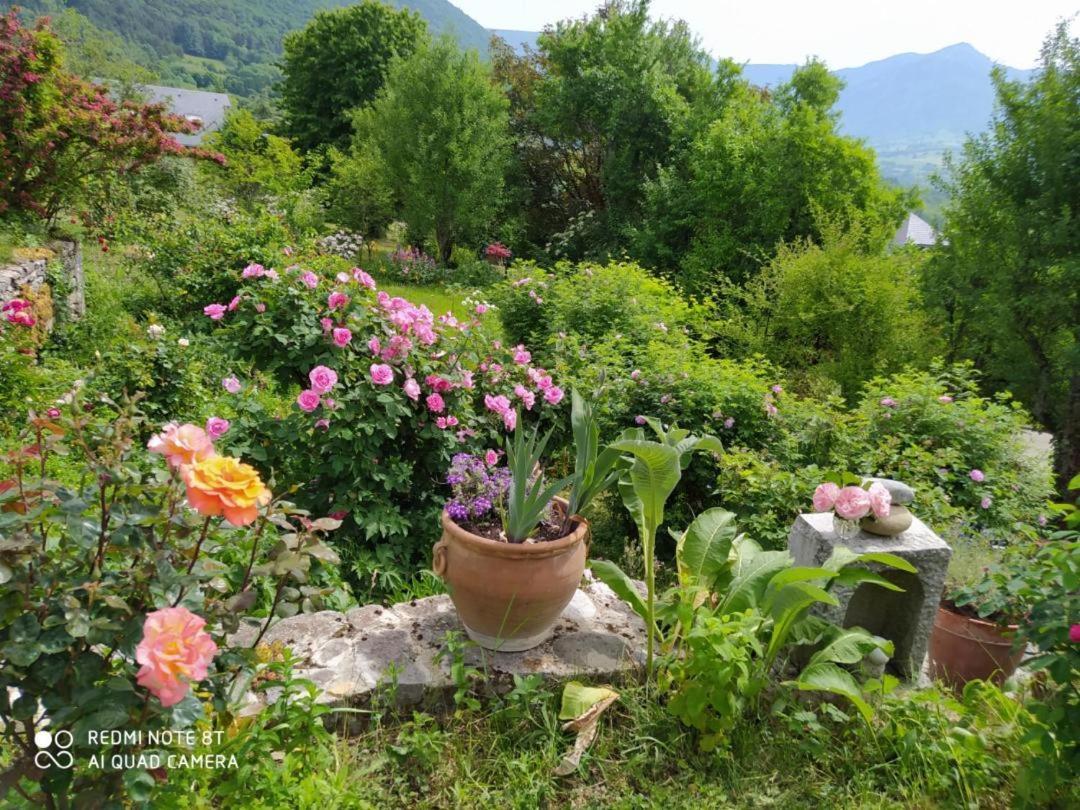 Studio Au Pied De La Montagne Et Vue Imprenable Saint-Alban  ภายนอก รูปภาพ
